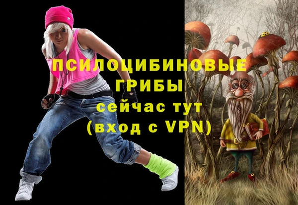 спайс Алексеевка