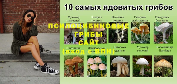 мяу мяу кристалл Алексин