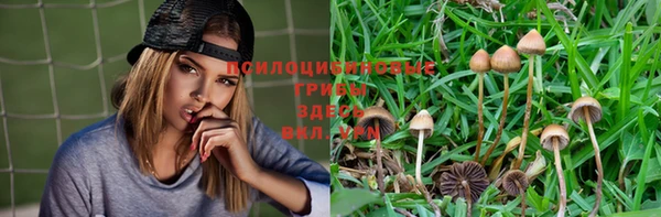 метадон Алзамай
